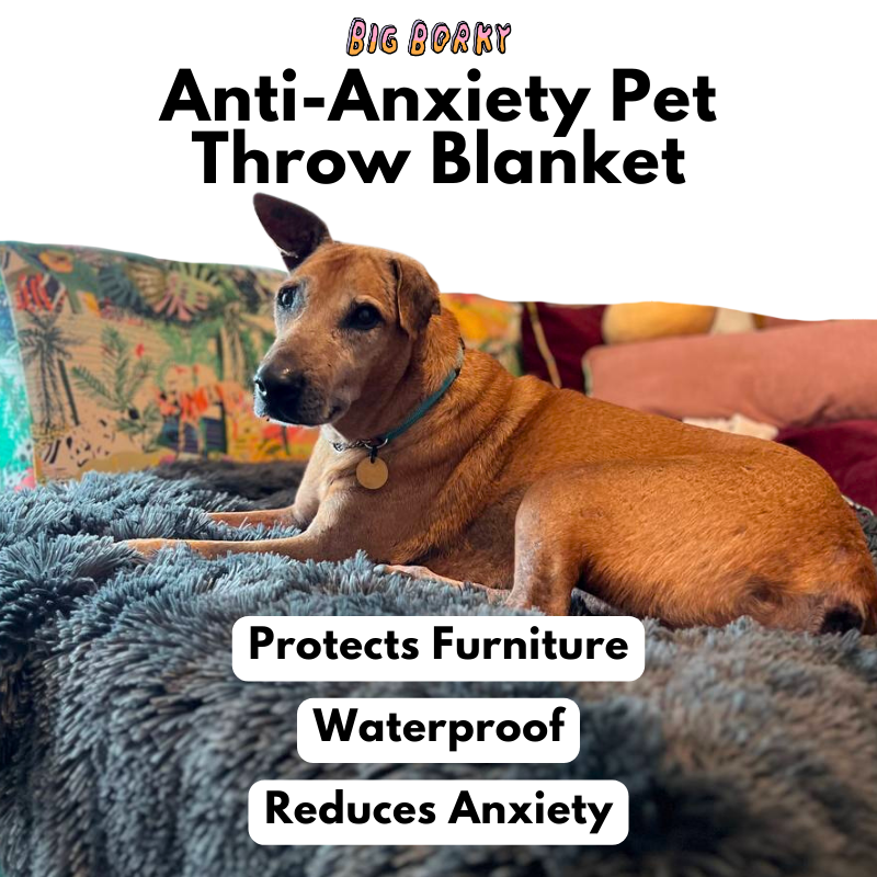 Pet 2024 anxiety blanket